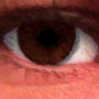 Brown Eye