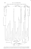 agassiz's tree of life