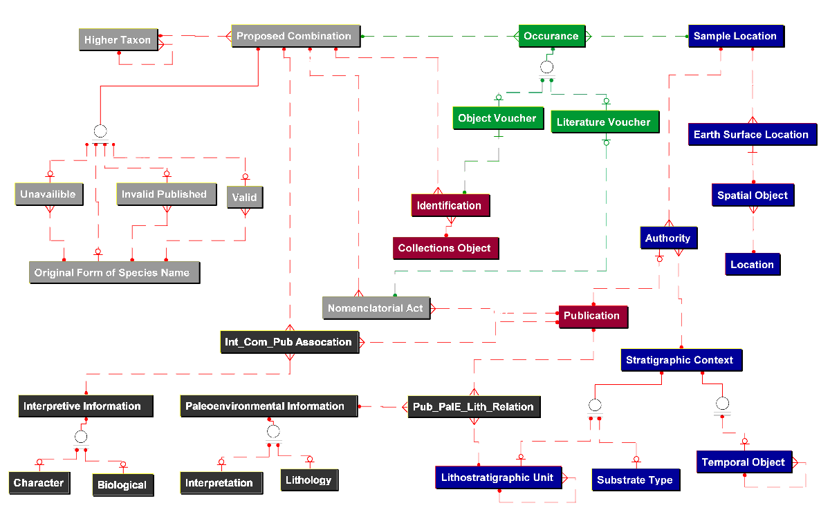 ER-Diagram