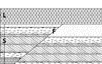 Small image of section