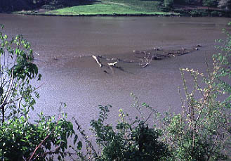 logjam in a flooded river