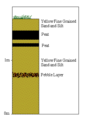 Section through peat