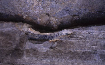 log at base of channel fill