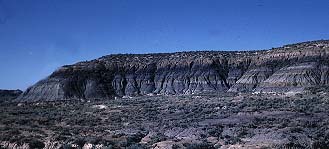Paleocene Upper Z coal in Hell Hollow, Garfield County, Montana