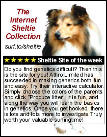 The internet Sheltie collection: Sheltie Site of the Week: Do you find genetics difficult? Then this
is the site for you! Athro Limited has
succeeded in making genetics both fun
and easy. Try their interactive calculator.
Simply choose the colors of the parents
and click 'Produce litter'. It is fun, and
along the way you will learn the basics in
genetics. Once you get hooked, there is
lots and lots more to investigate. Truly
worth your valuable surfingtime! 