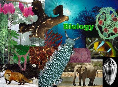 Biology Images