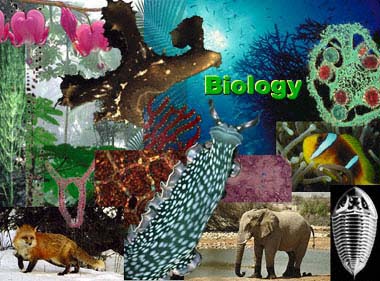 Reference And Education Article Category Reference And Education Article Category